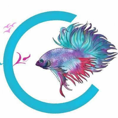 Picture for vendor  Al Salman International  