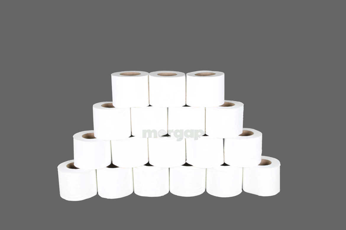Picture of Tissues bath roll 12 cubes