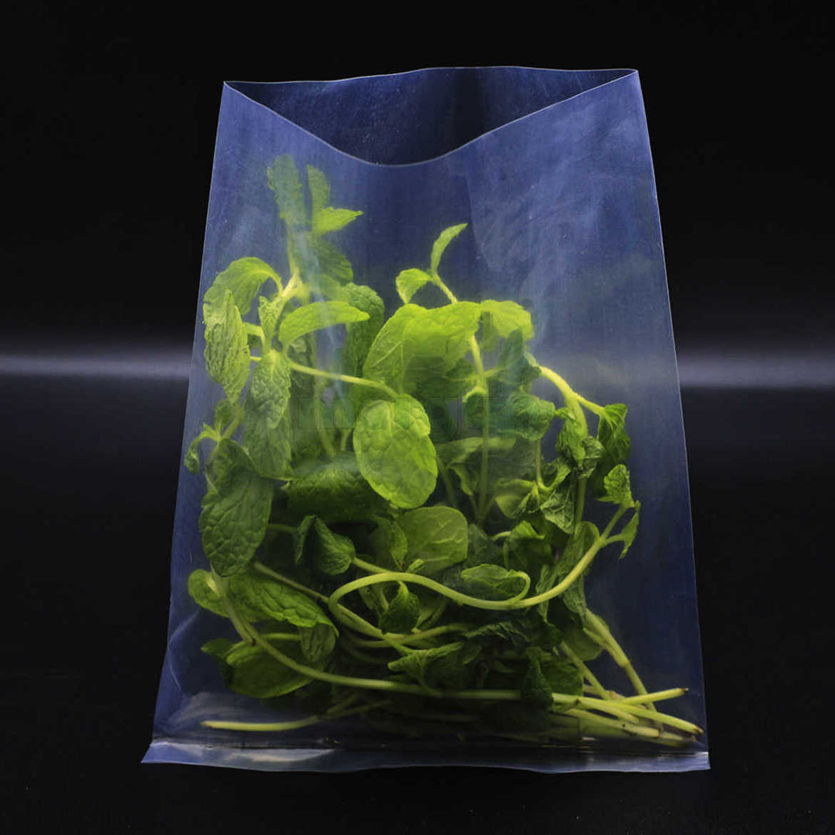 Picture of Transparent bag