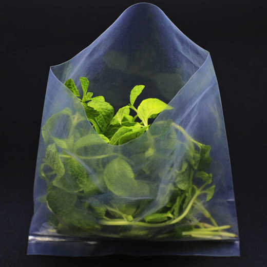 Picture of Transparent bag