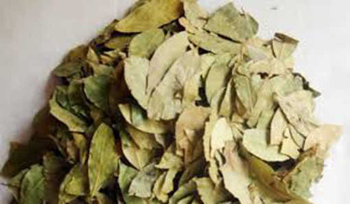 Picture of ورق جوافة 