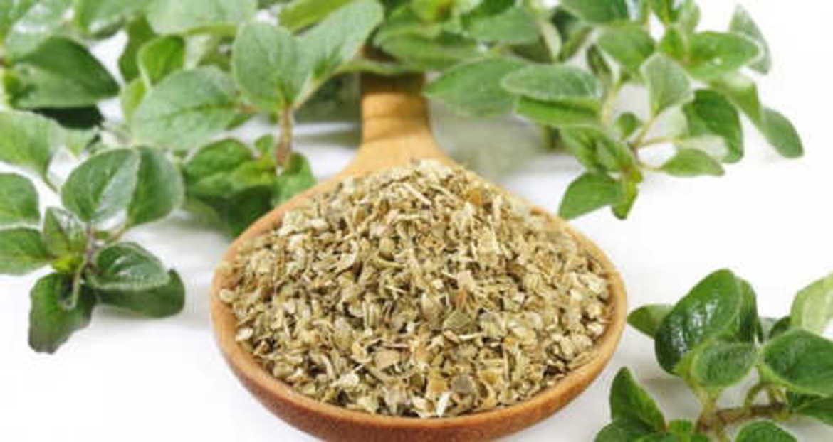 Picture of برقدوش 