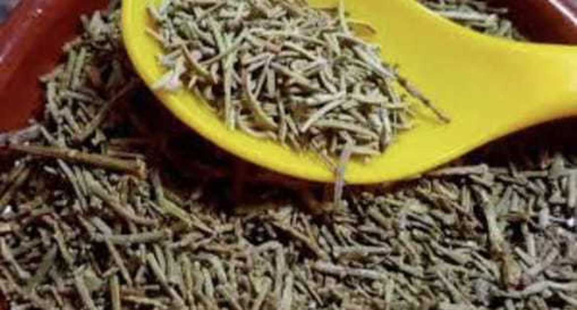 Picture of عشبة العرعر